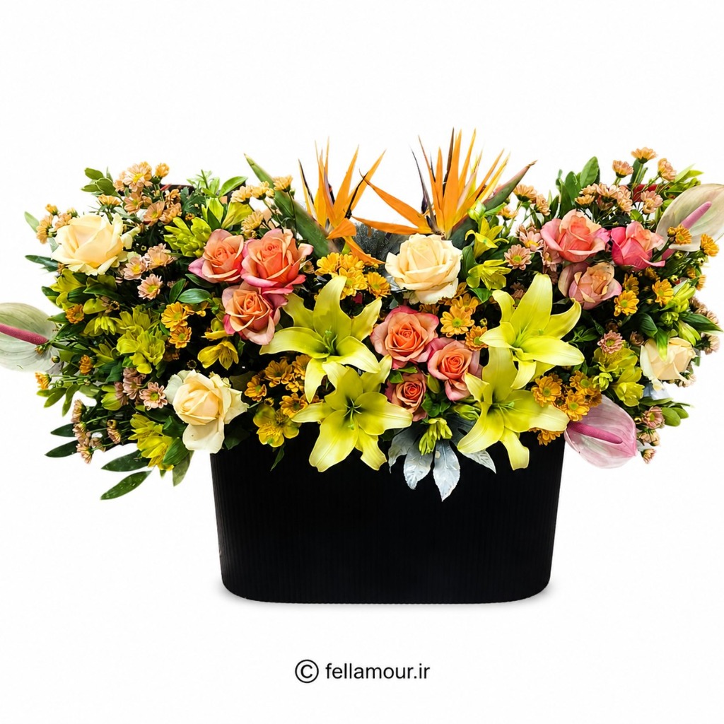 باکس گل کرکره ای لیلیوم اریانتال و استرزیا مدل اتن