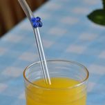 نی شیشه ای