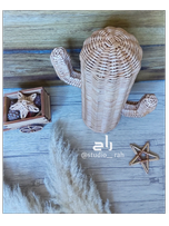 کاکتوس حصیری استودیو راح