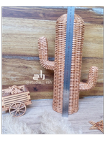 کاکتوس حصیری استودیو راح