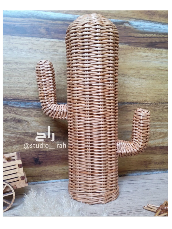 کاکتوس حصیری استودیو راح