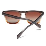 عینک آفتابی ویفرر (Wayfarer) آلبرت وگ مدل S31118C3 Acetate Avantgarde Visionary