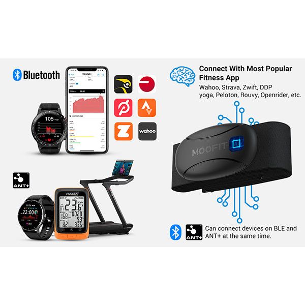 مانیتور ضربان قلب