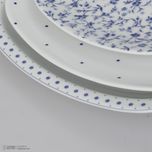 سرویس غذاخوری 27 پارچه 6 نفر چینی زرین ایران مدل کواترو ورنیکا درجه عالی