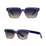 عینک آفتابی ویفرر آلبرت وگ مدل S31105C4 Polarized Avantgarde Visionary