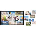 تبلت 8.7 اینچ سامسونگ مدل Galaxy Tab A11 4G، ظرفیت 128 گیگابایت و رم 8 گیگابایت، قابلیت پشتیبانی از سیم کارت، رزولوشن دوربین 8 م