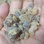 لبان (کندر) عربی اصل