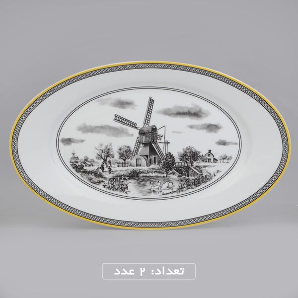 سرویس چینی 102 پارچه غذا خوری چینی زرین ایران سری ایتالیا اف مدل ویلیج درجه یک