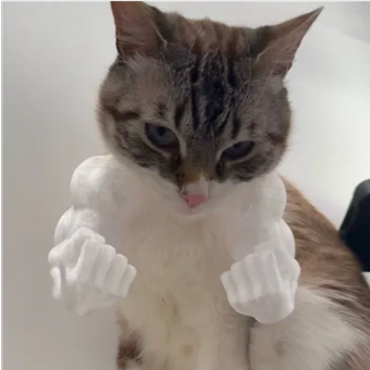 بازوی فانتزی گربه Hulk arms