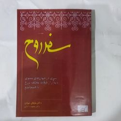 کتاب سفر روح، مایکل نیوتون، محمود دانایی