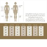 شومیز آستین بلند زنانه مدل SN-BD-1977715176