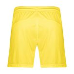 ست تاپ و شلوارک ورزشی مردانه مدل GS-DS-UFC 3080