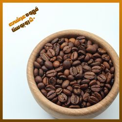 میکس 50 روبوستا برلین