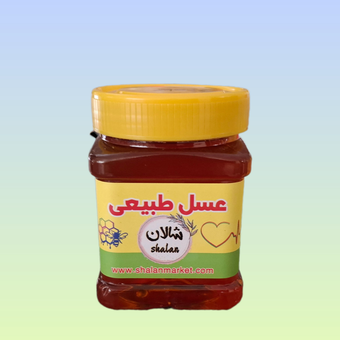 عسل کوهی چند گیاه - 500 گرمی