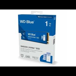 1TB WD BLUE SN500