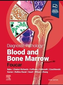 Diagnostic Pathology - Blood and Bone Marrow 2024