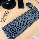 Logitech DESKTOP Wireless MK295 EN/FN