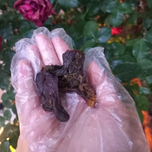 تشویقی جگر مرغ فارپت مناسب سگ