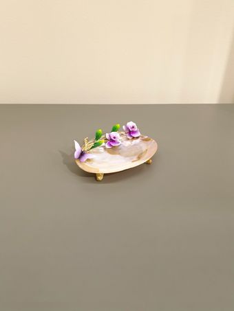 صدف پایه حلزونی