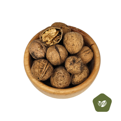 گردو با پوست ایرانی