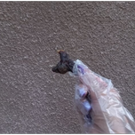 تشویقی جگر مرغ فارپت مناسب سگ