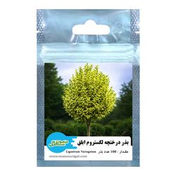 بذر درختچه دائم سبز لگستروم ابلق منصوری گل کد Mlv100 وزن 3 گرم