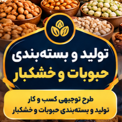 طرح توجیهی بسته بندی خشکبار خانگی و صنفی