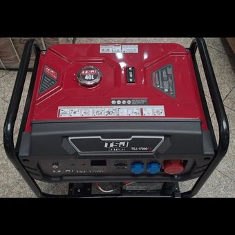 موتور برق تک فاز 3 فاز 10 کیلو وات TSJ مدل 17000P3