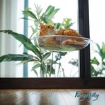 جای خواب گربه مدل شیشه ای مکشی window Bed