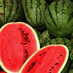هندوانه (WATERMELON)