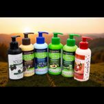 کرم آبرسان نادیا