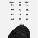 کاپشن نورث فیس2