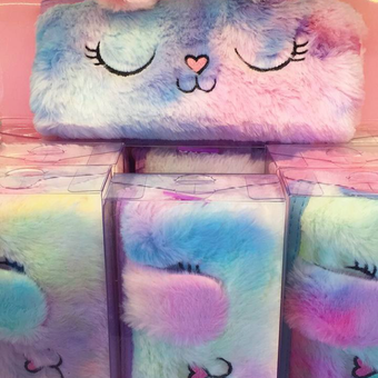 جامدادی پولشی