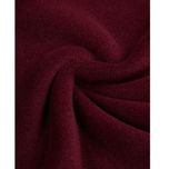 هودی مردانه مدل SB-SS- 0169
