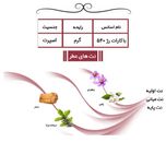 عطر جیبی یاغیش مدل CK13 حجم 24 میلی لیتر مجموعه 4 عددی