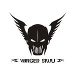 برچسب بدنه خودرو لیزارد مدل اسپورت طرح winged skuli کد LZD-824