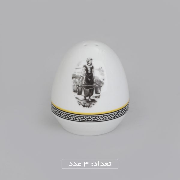 سرویس چینی 102 پارچه غذا خوری چینی زرین ایران سری ایتالیا اف مدل ویلیج درجه یک