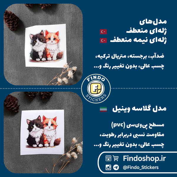 استیکر گربه‌های ملوس1#🐱🐾