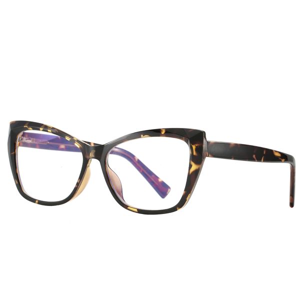 عینک محافظ چشم مدل 2002C6 TR Blue Control