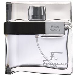 ادکلن مردانه سالواتوره فراگاموFerragamo Pour Homme