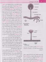 میکروبشناسی مورای جلد3 قارچشناسی و انگلشناسی