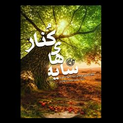 کتاب سایه‌های کُنار / خاطرات حسین پور جلالی از پشت جبهه اندیمشک