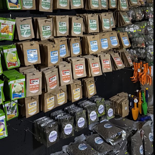 کود کاکتوس 50 گرمی گروپلاس