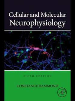 Cellular and Molecular Neurophysiology2024 5th Edition