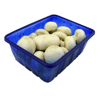 قارچ 400گرم