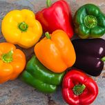 فلفل دلمه رنگی(COLOURED SWEET PEPPER)