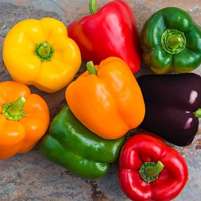 فلفل دلمه رنگی(COLOURED SWEET PEPPER)