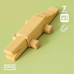 اسباب بازی چوبی مگنتی طرح سوسمار