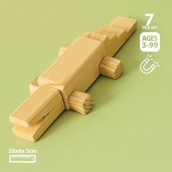 اسباب بازی چوبی مگنتی طرح سوسمار
