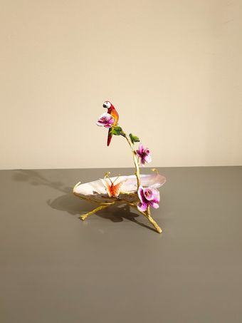 صدف طوطی برنجی | مدل 8
